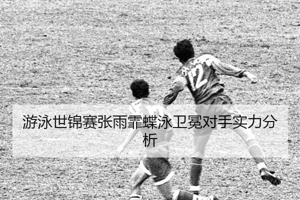 you-yong-shi-jin-sai-zhang-yu-fei-die-yong-wei-mian-dui-shou-shi-li-fen-xi-3-349.jpg